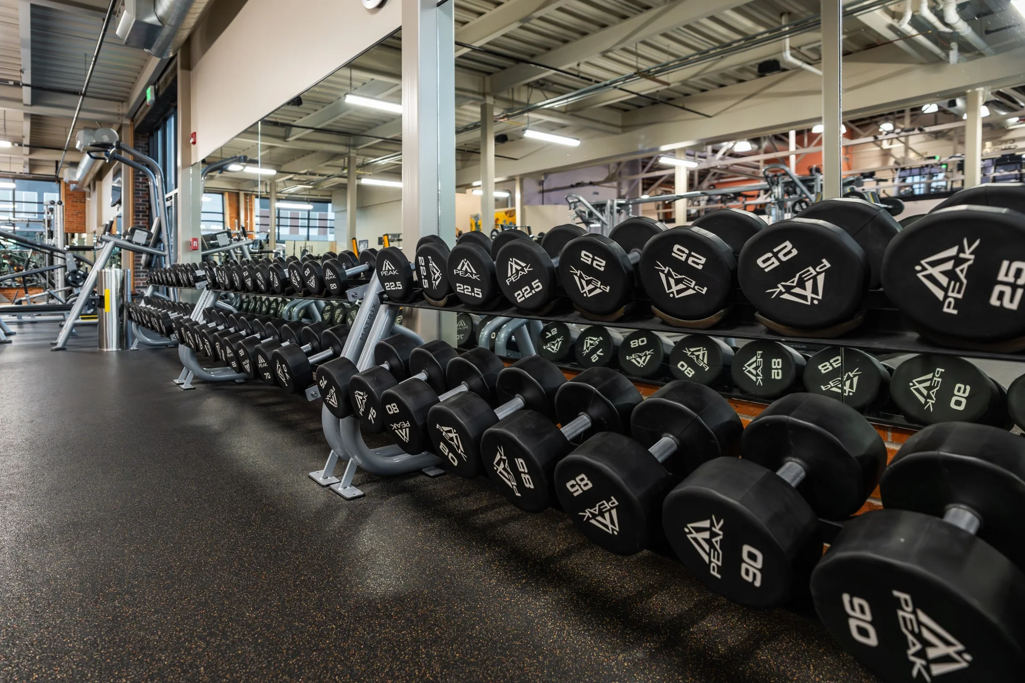 Free weights at Peak West Bank Landing